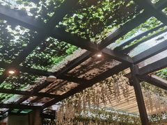 -MADO冰淇淋咖啡馆(淘金店)