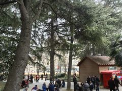 -西苑公园