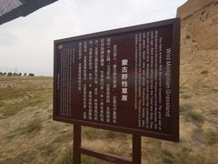 -水洞沟旅游区