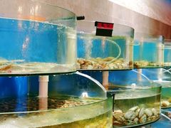 -蓝珊甄选海鲜自助·火锅大排档(近阿那亚店)
