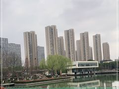 -青枫公园