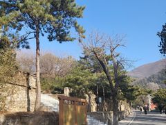 -潭柘寺景区