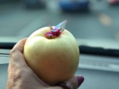 -乾山寿司(好运街店)