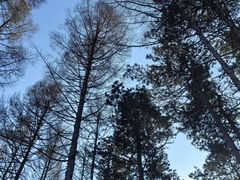 -长春净月潭风景名胜区
