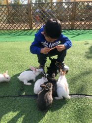 -萌宠亲子动物乐园(槐房万达店)