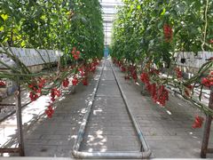 -中国农科院国家农业科技展示园