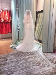 -韩国天使嫁衣婚纱礼服馆(上海旗舰店)