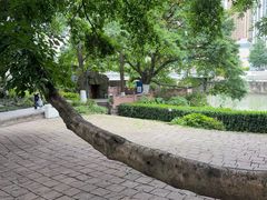 -成都市活水公园