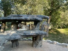 -北京野生动物园