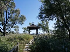 -野鸭湖国家湿地公园