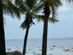 -三亚西岛海洋文化旅游区