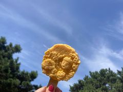 -北京西山国家森林公园