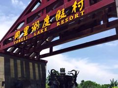 picture-同里湖度假村(二期店)