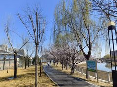 -保定东湖公园(莲池区)