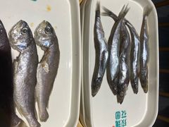 -玫瑰花园自助烤肉(顺义鑫海韵通店)