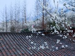 -樱桃山旅游景区