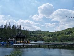 -苏州上方山国家森林公园