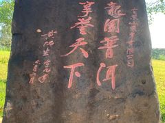 -西双版纳原始森林公园
