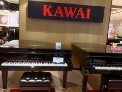 -柏斯音乐艺术中心·钢琴·吉他(上音店)