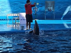 -石林冰雪海洋世界