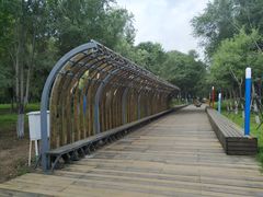 -长白岛森林公园