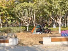 -金银湖国家城市湿地公园