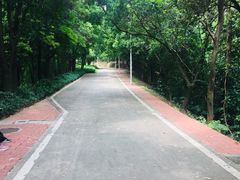 -天鹿湖森林公园