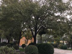 -汉景帝阳陵博物院