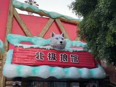 -海合安成都极地海洋公园