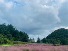 -云漫湖生态度假公园