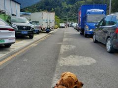 -梧桐山风景名胜区