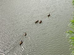 -南翠屏公园