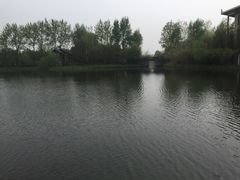 -溱湖国家湿地公园