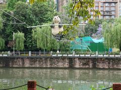 -成都市活水公园