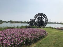 -金卉庄园