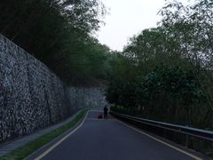 -小南山公园