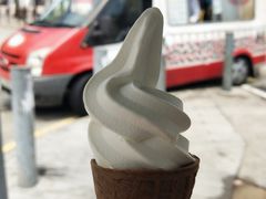 -富豪雪糕车流动点(尖沙咀店)