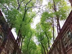 -南京晨光1865创意产业园