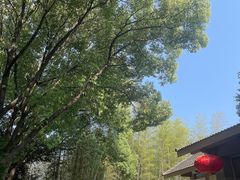 -求雨山文化公园