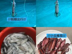 -盐洲岛