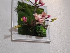 -清和传家饺子(龙泉道物美店)