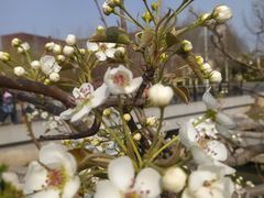 -南开大学(津南校区)