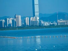 -深圳湾公园(南山区)