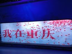 -重庆欢乐海底世界