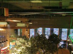 -三强鸽子(中原路店)