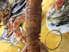 有膏濑尿虾-蚝专家(北滘店)