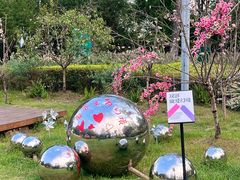 -金鸡湖桃花岛
