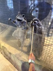 -酷嗒动物文化乐园(cutezoo西溪乐天城店)