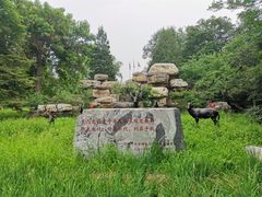 -北京麋鹿生态实验中心