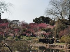 -无锡梅园公园
